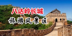 免费看操美女淫穴视频中国北京-八达岭长城旅游风景区
